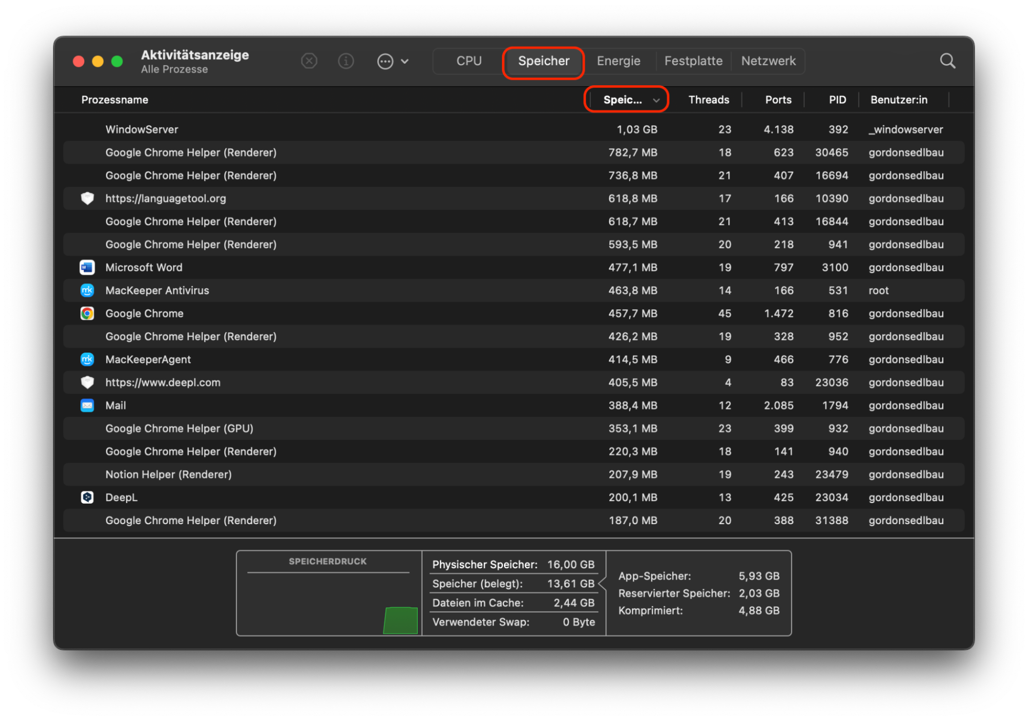 Der Aktivitätsmonitor in macOS Monterey zeigt eine Liste aller laufenden Prozesse an. Wählen Sie die Registerkarte Speicher und klicken Sie dann auf die Spalte Speicher, um alle Prozesse nach Speicherverbrauch zu sortieren.