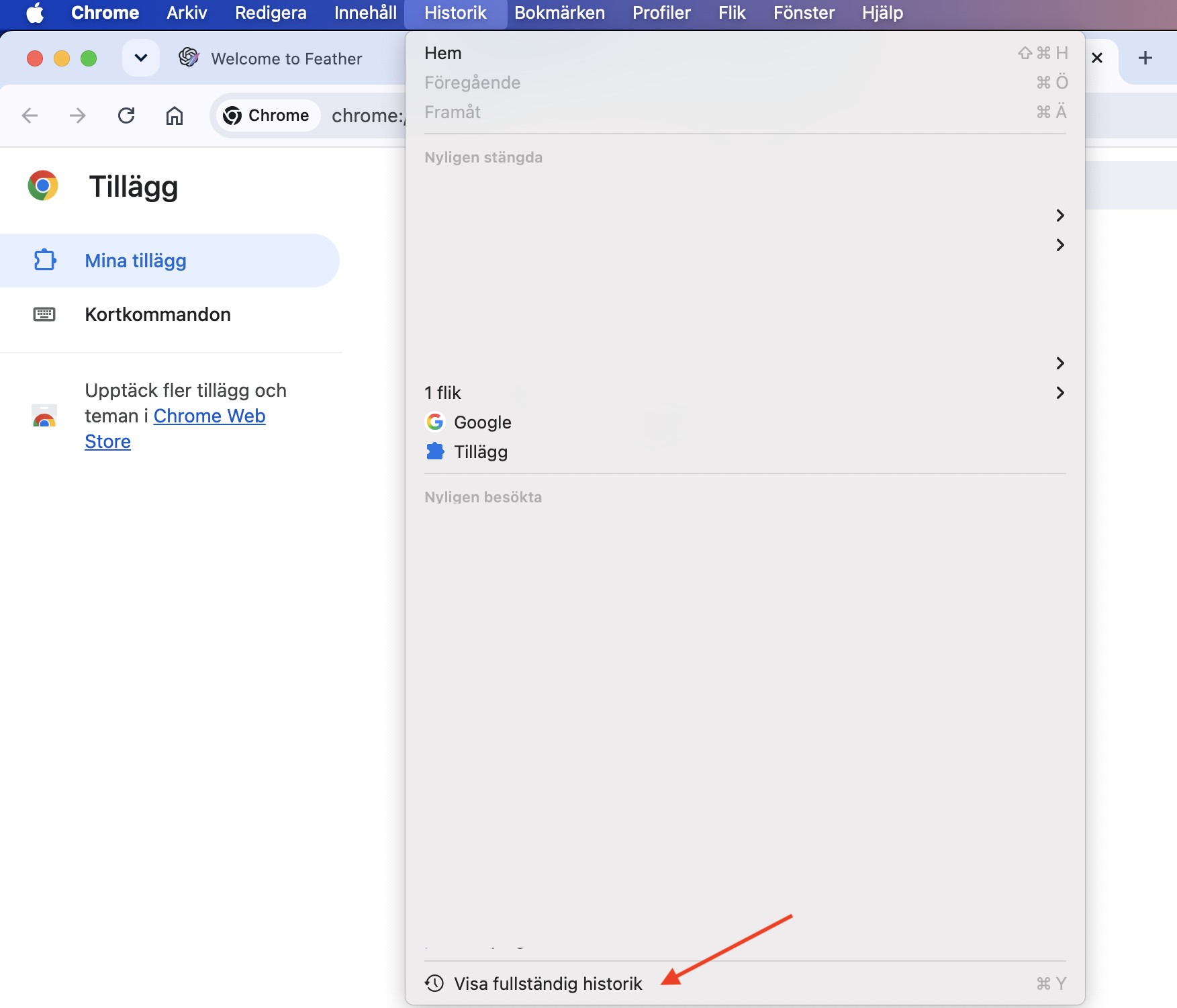 Google Chrome på Mac visar menyn Historik. Klicka på Visa fullständig historik för att rensa ditt cacheminne i Google Chrome.