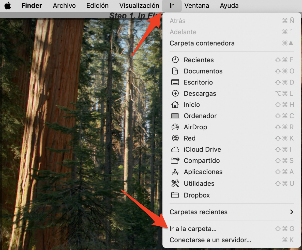 El Finder en macOS Monterey muestra el menú Ir. Selecciona Ir a la carpeta para acceder a la ubicación de las carpetas ocultas del sistema.