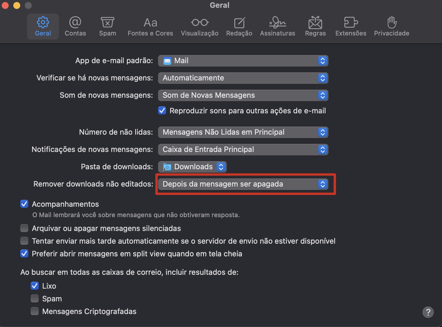 Selecione a opção Depois da mensagem ser apagada para excluir anexos de e-mails e lixo eletrônico na ferramenta Geral nos Ajustes do aplicativo Mail.