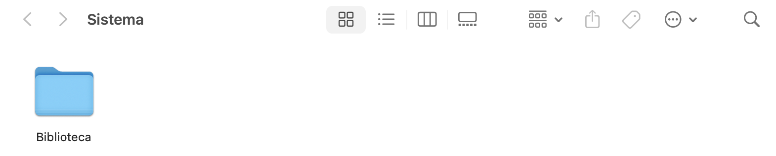 Na pasta Sistema, encontrará outra chamada Library (ou Biblioteca). Nessa pasta, pode apagar dados e limpar parte do armazenamento do sistema do seu dispositivo.