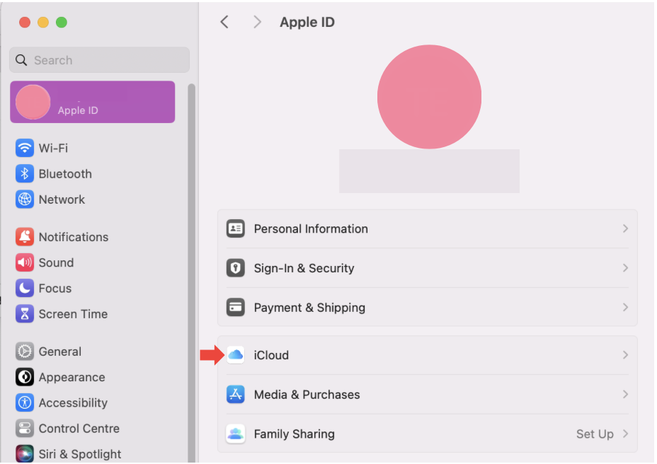 To alter your iCloud settings, you'll need to open Settings first. Then click on Apple ID > iCloud.