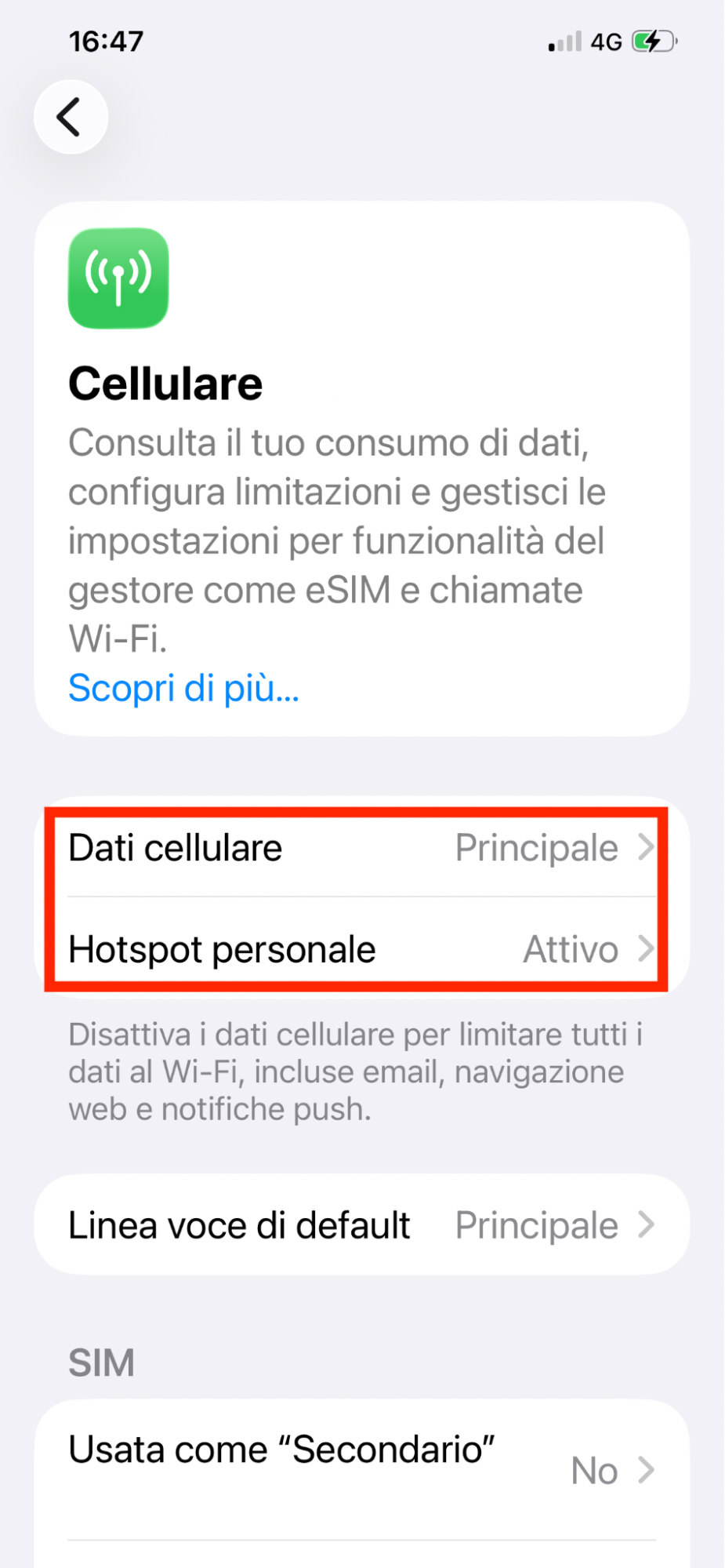 Se usi un hotspot, attiva i dati cellulare sul tuo iPhone e gestisci le impostazioni di Hotspot personale. Per farlo, vai in Impostazioni, seleziona Cellulare, poi Dati cellulare e controlla che siano attivi.