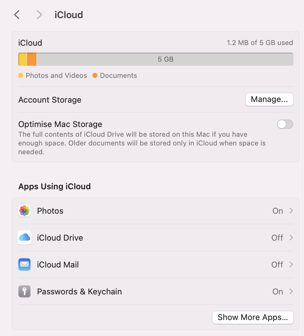 To allow apps to sync with iCloud, click on next to the chosen app.
