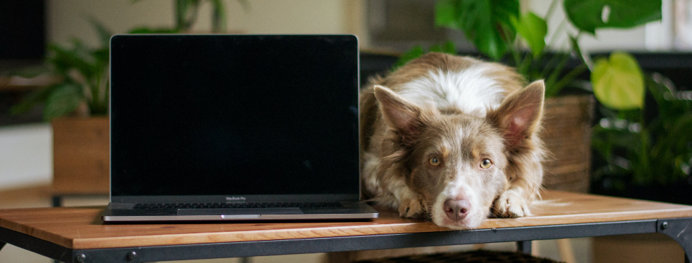 Comment Trouver et Supprimer des Films sur Mac