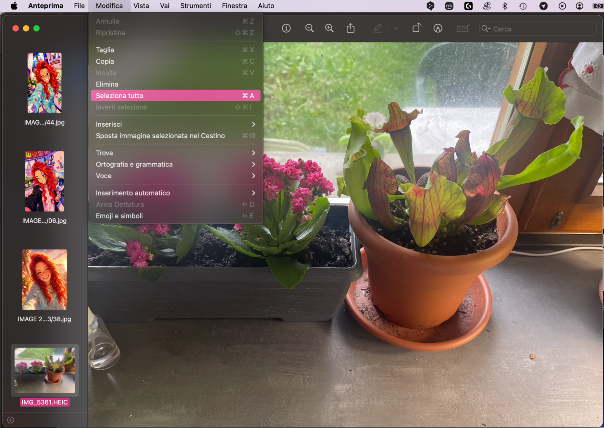 Nell’app Anteprima, seleziona tutte le tue foto. Puoi farlo andando su Modifica > Seleziona tutto. Dopo averlo fatto, sarai in grado di convertirle in JPG.