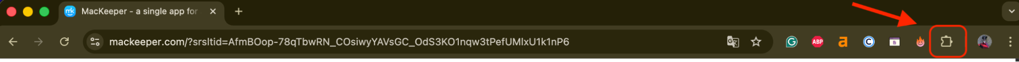 The Chrome browser is open on a Mac. Click the extensions icon next to the search bar to remove DuckDuckGo from your Mac.