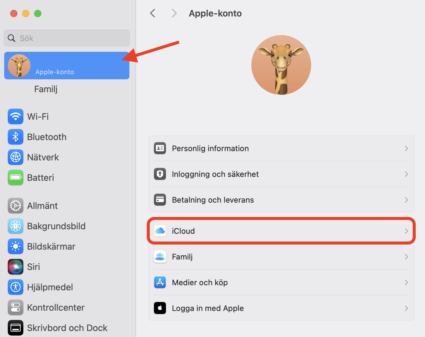 Menyn Apple-konto i Systeminställningar på Mac. Du kan optimera Mac-lagringen för att frigöra utrymme på Mac direkt i iCloud-menyn.