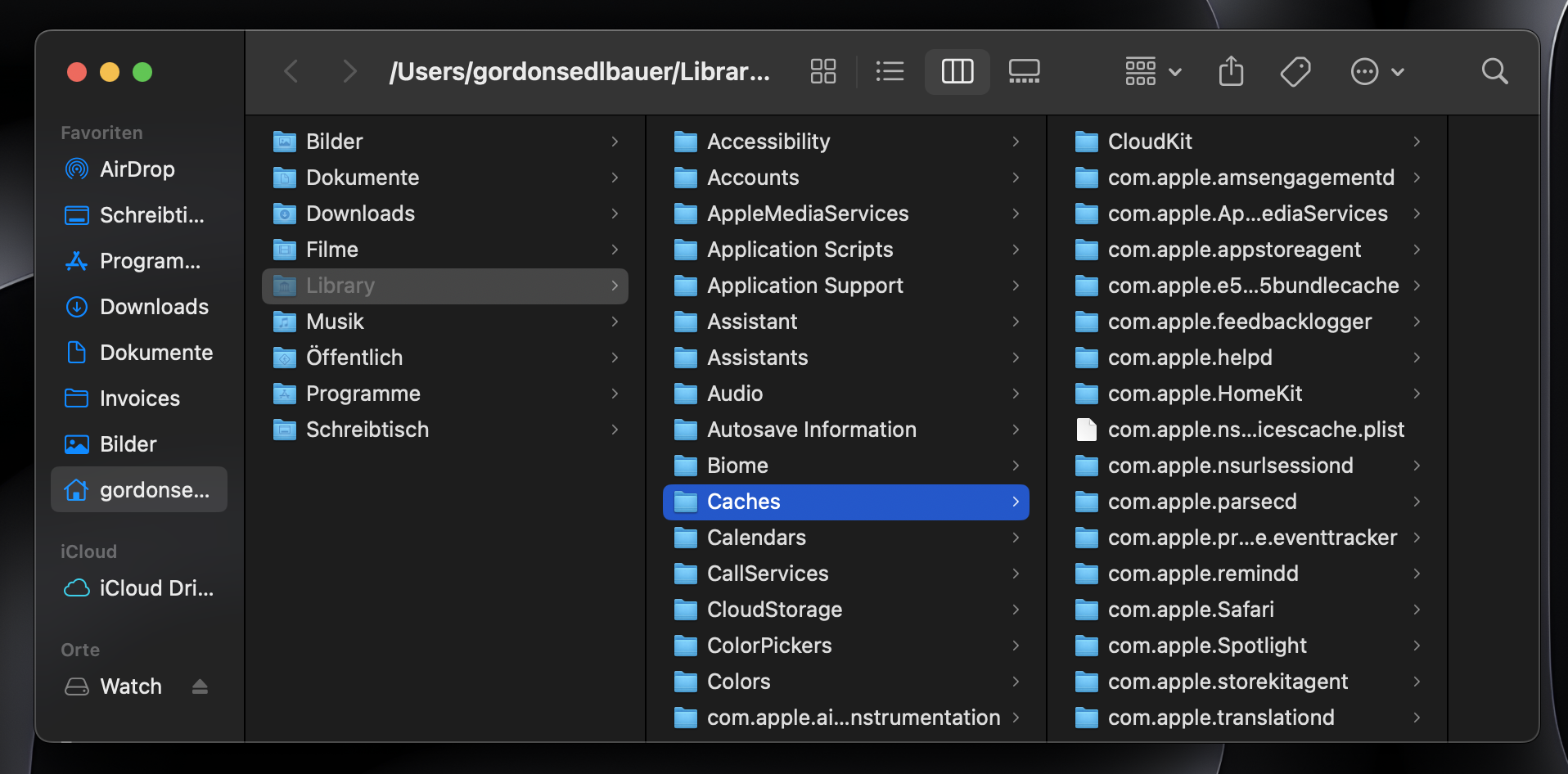 Beginnen Sie nun im dritten Schritt dieses vierstufigen Vorgangs damit, den System- oder Bibliothekscache im Finder-Fenster anzuzeigen, um den Safari-Cache schnell zu löschen.