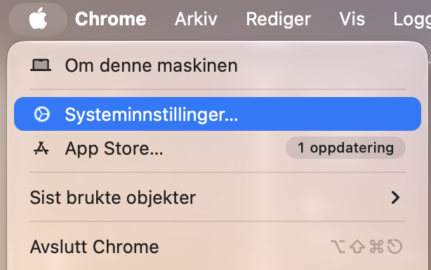 For å sjekke om det finnes uønskede profiler, gå til Apple-logoen og klikk på Systeminnstillinger.