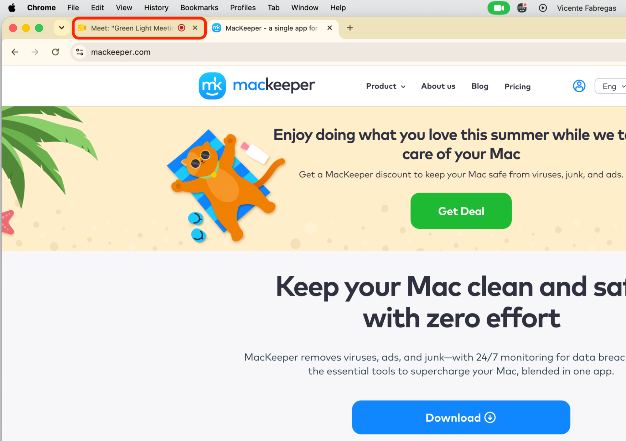 Safari browser window on macOS with open tabs highlighted so you can close the video-call tab still holding MacBook camera access.