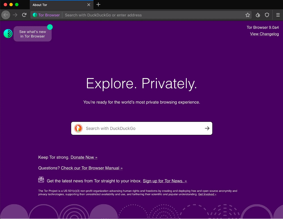 Tor Browser is the best option for accessing the dark web. It offers many security tools in a minimalist yet user-friendly interface.