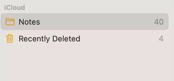 Look for Recently Deleted notes when the Notes app is not working. From here, you can recover any notes you accidentally deleted.