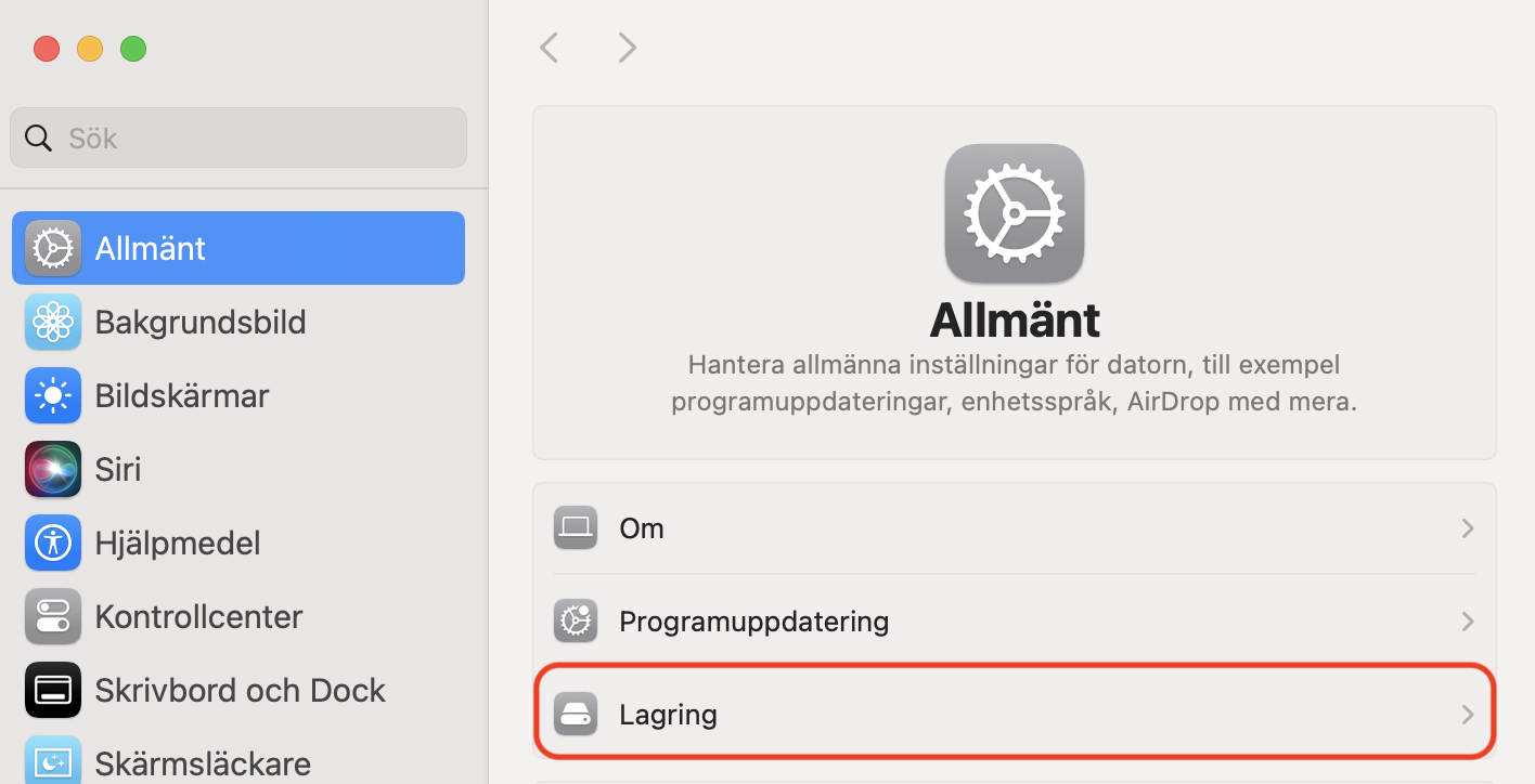 Under fliken Allmänt ser du ett avsnitt som heter Lagring. Klicka här för att se hur mycket utrymme systemdata förbrukar på din Mac.