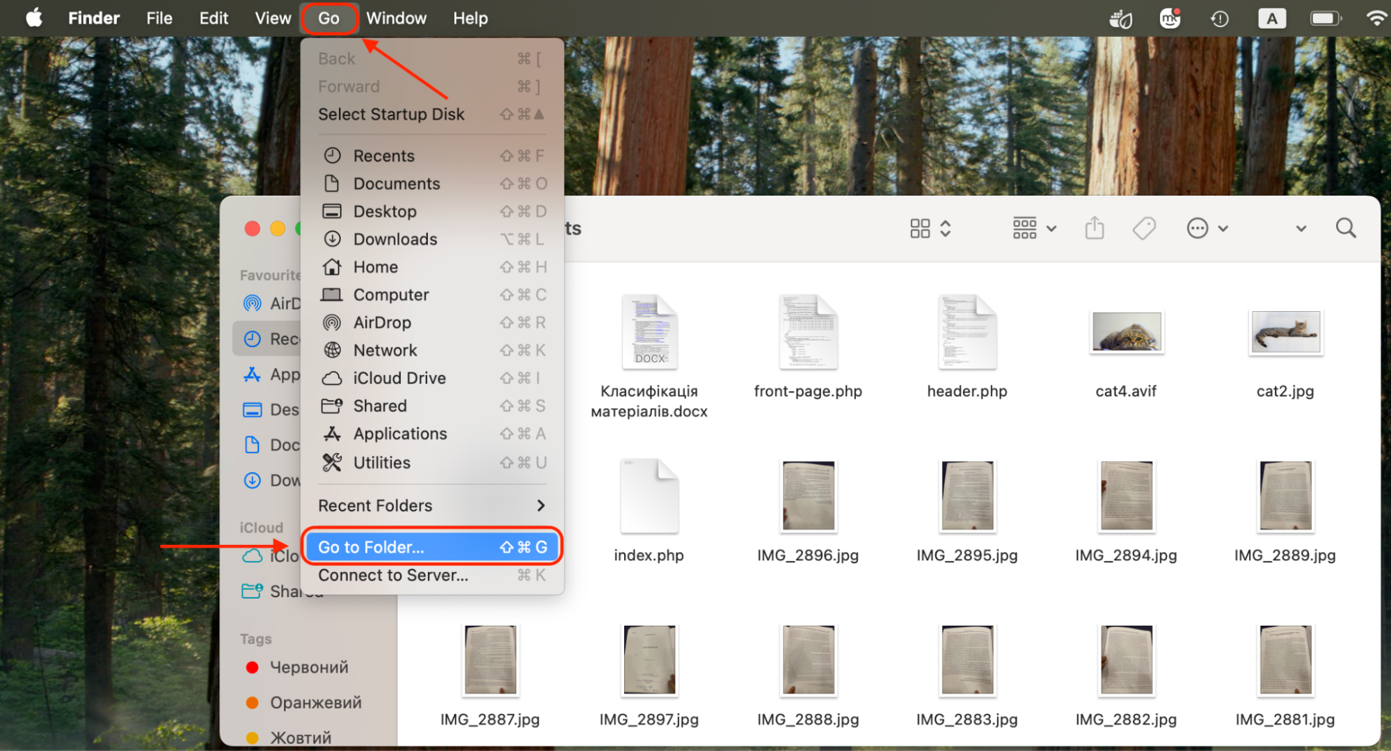 In Finder, click Go in the top menu, then select Go to Folder to access hidden system directories.