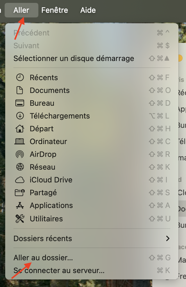 Cliquez sur Aller une fois le Finder ouvert sur macOS Monterey. Cliquez sur Aller au dossier, puis saisissez l'emplacement des fichiers cachés du système.