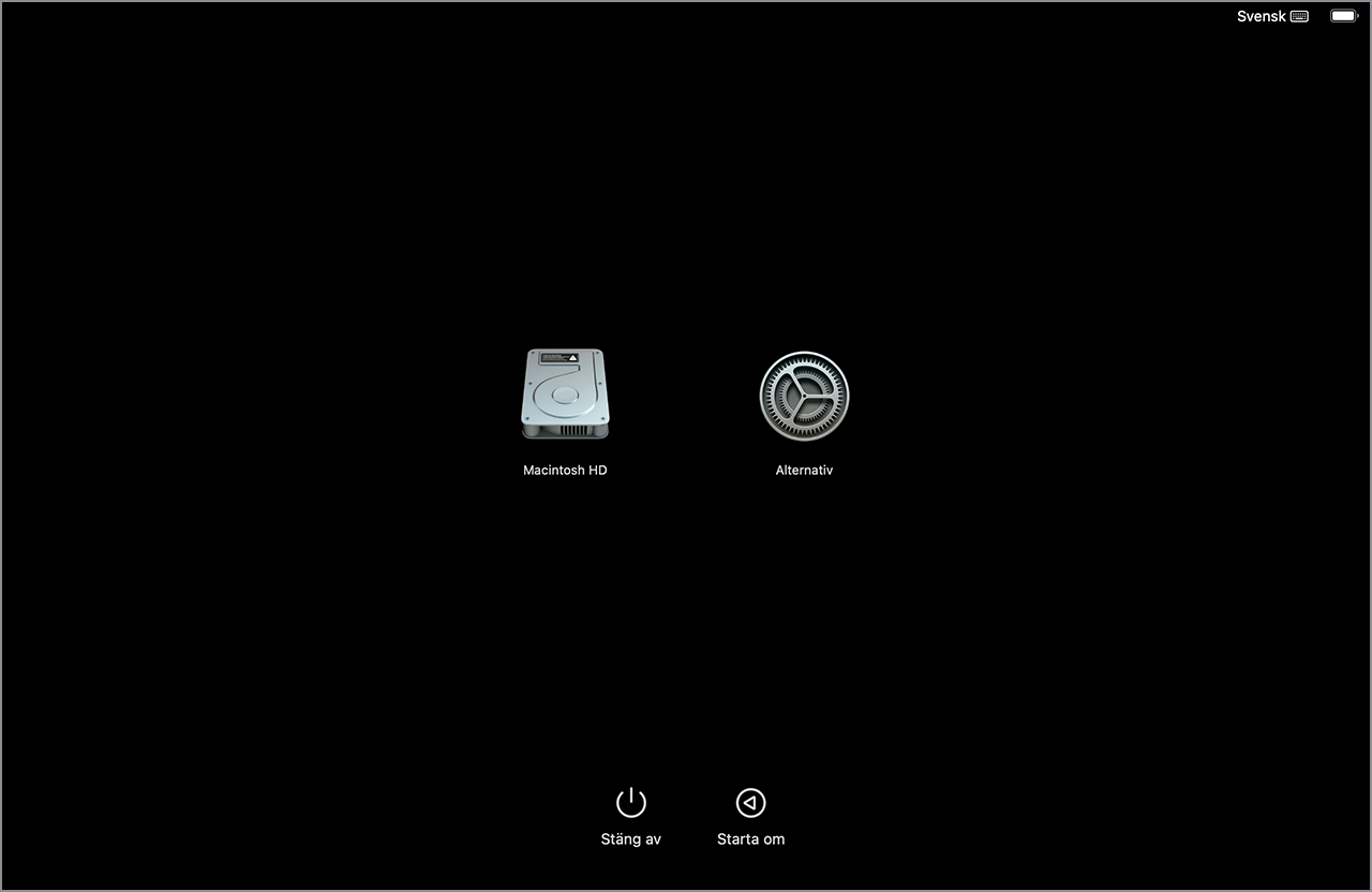 Nu behöver du starta din Mac igen, men gör det medan du håller in strömknappen. Du bör bara släppa strömknappen när du ser alternativmenyn vid uppstart, som visar att du har gått in i säkert läge för att hjälpa till att åtgärda att Mac fryser.