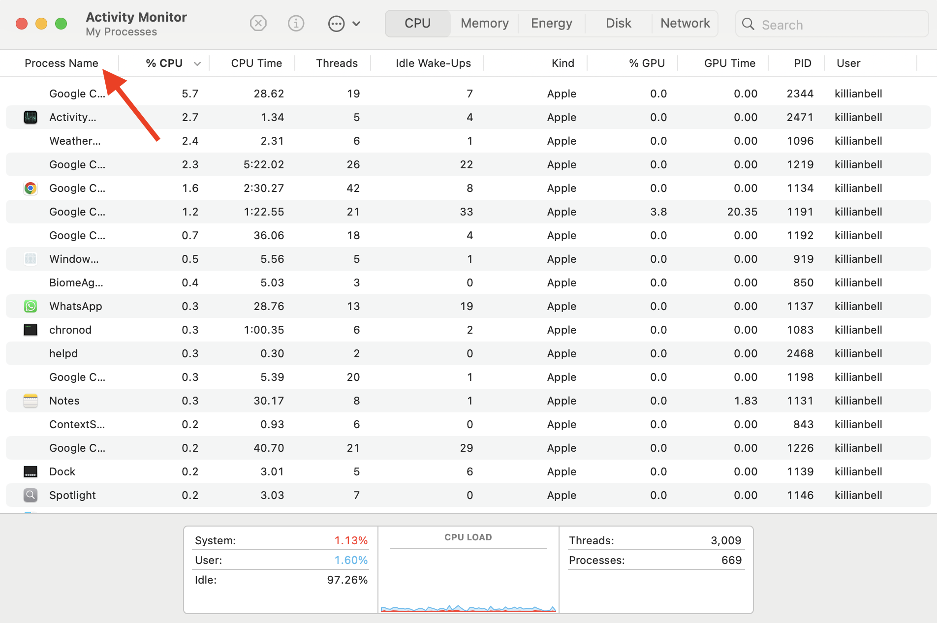 A list of running processes in Activity Monitor on Mac. Use Activity Monitor to shut down frozen programs when you need to know how to force quit Safari on Mac.