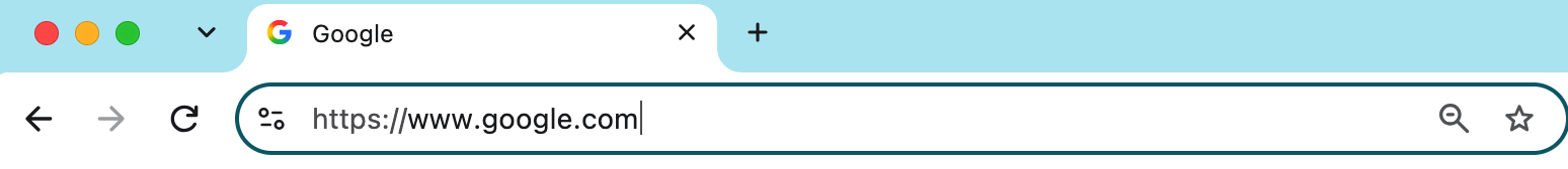 Jeśli klikniesz dwukrotnie pasek adresu/wyszukiwania Chrome, zobaczysz pełny adres URL bieżącej strony. Zrób to, gdy jesteś na swojej zwykłej stronie głównej, i sprawdź, czy jest prawidłowy.