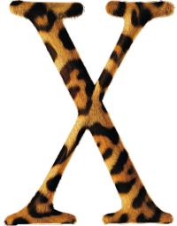 Het macOS Jaguar-logo wordt weergegeven. Jaguar werd in 2002 uitgebracht na de eerdere versies en heeft een luipaardprint als ontwerp.