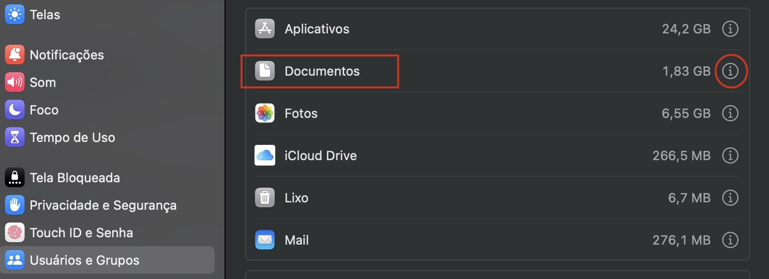 Na janela Armazenamento, você verá o ícone de informações i, ao lado de Documentos. Selecione-a para prosseguir