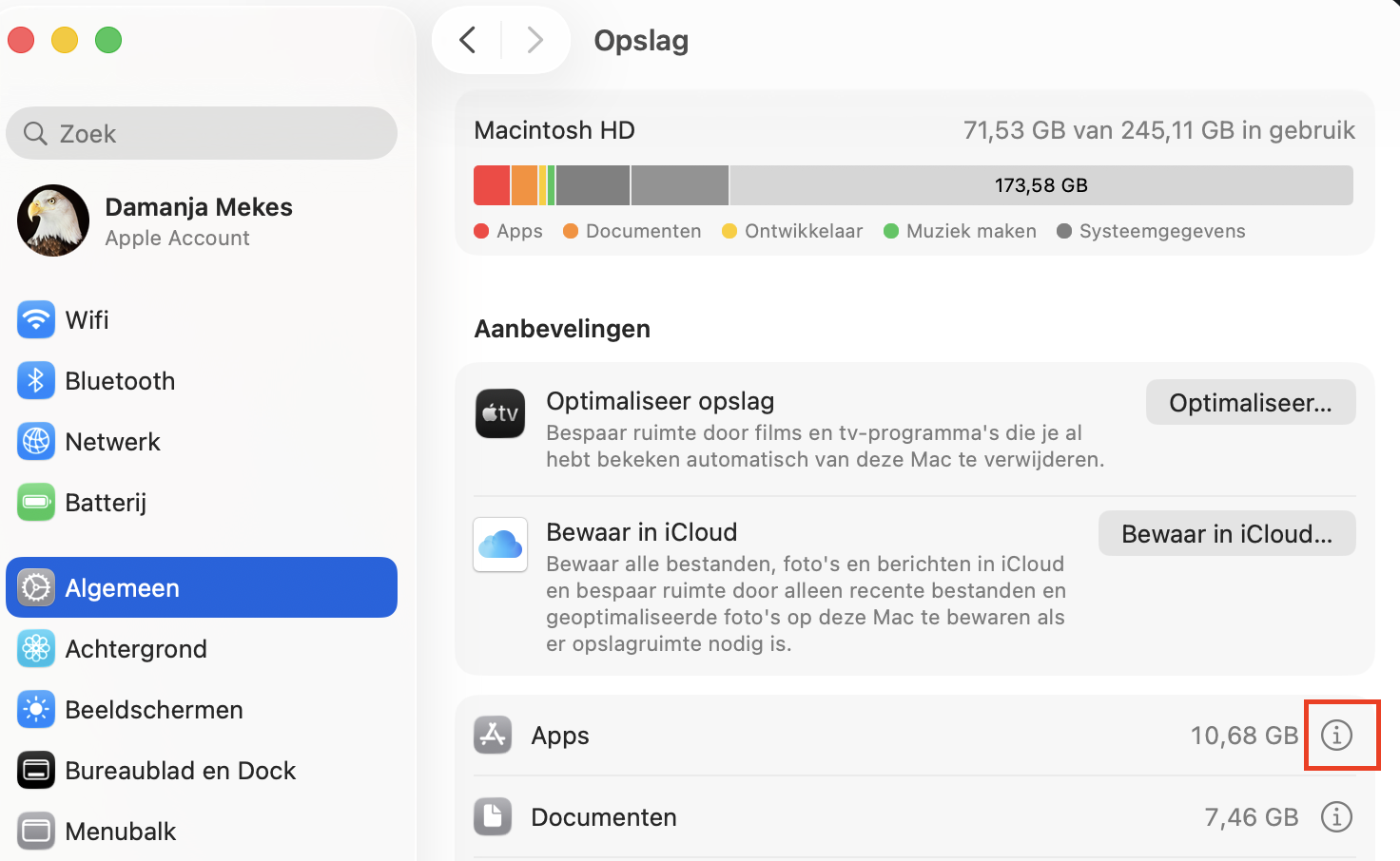 Het menu Opslag in Systeeminstellingen op de Mac. Je kunt ruimte vrijmaken door op het infopictogram naast een van de categorieën te klikken en vervolgens bestanden te verwijderen die je niet meer nodig hebt.