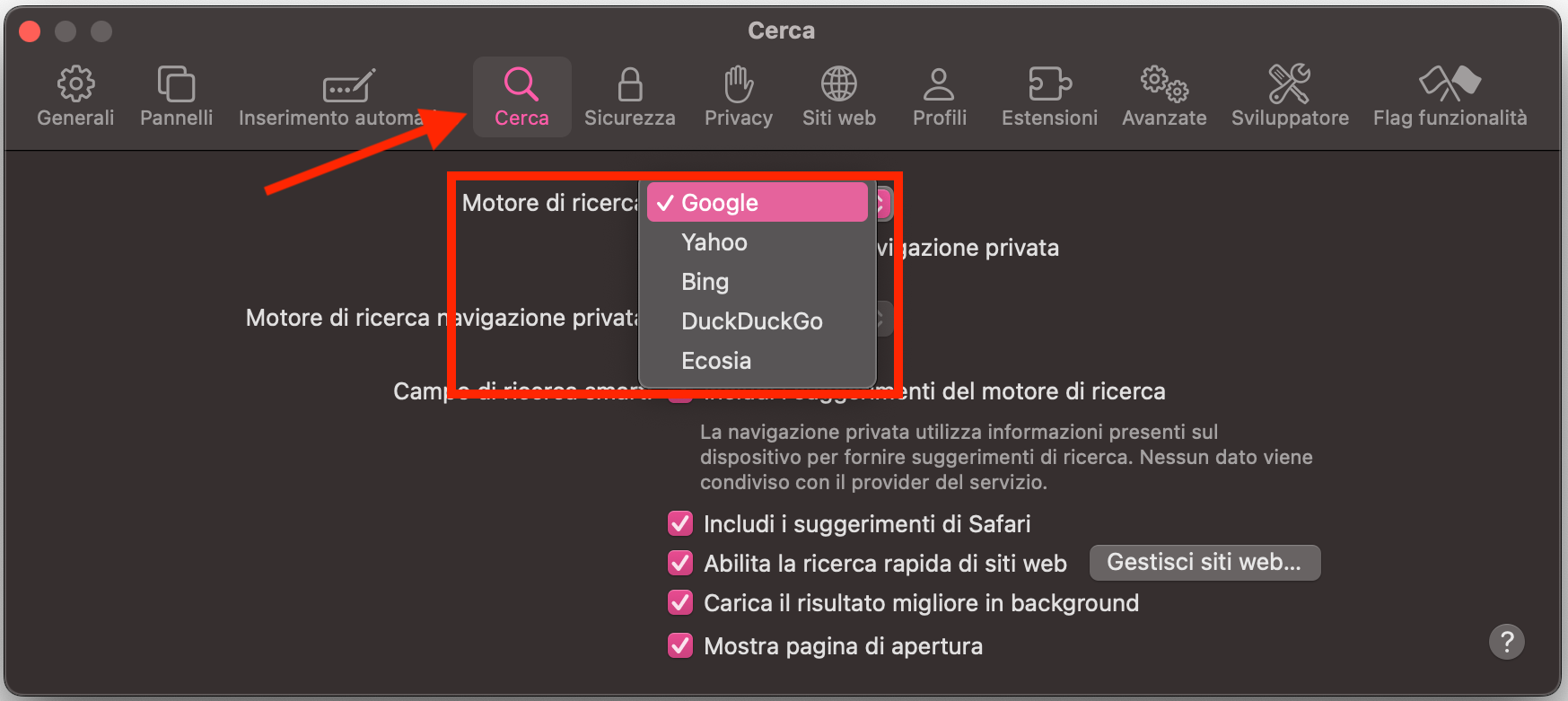 Il menu Cerca dentro Safari su Mac. Controlla il tuo motore di ricerca e usa il menu a discesa per cambiarlo se necessario.
