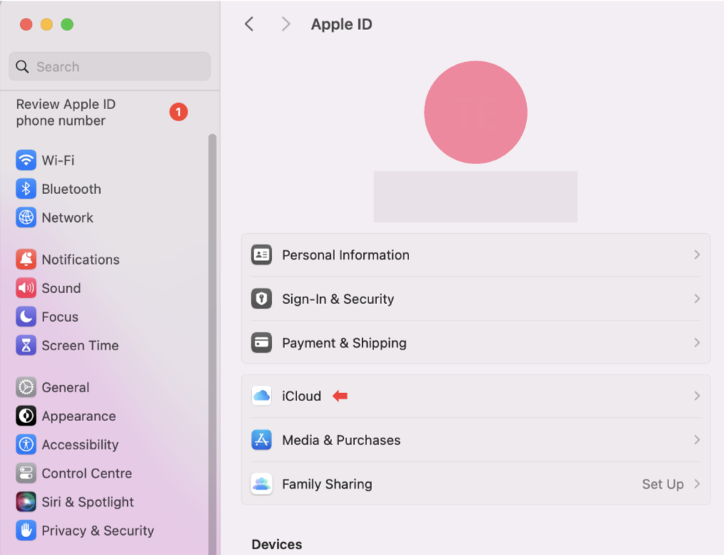 To fix slow Safari on Mac, you can try disabling iCloud Private Relay. You just need to start by opening up System Settings, heading to your Apple ID account, and clicking on iCloud.