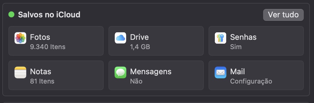 Desative a sincronização do iCloud Drive indo em Ajustes > Geral e selecionando sua Conta Apple. Depois, toque em iCloud; você encontrará a seção Salvos no iCloud.