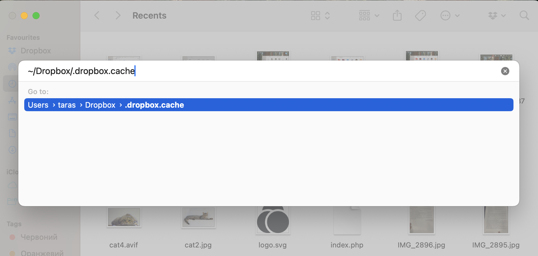 Enter ~/Dropbox/.dropbox.cache in the Go to Folder window to access Dropbox's hidden cache folder.