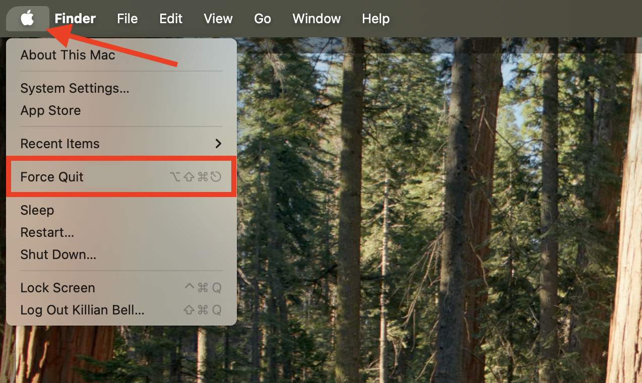 The Force Quit option inside the Apple menu on Mac. If you want to know how to force quit Safari on Mac because it's frozen, try using the Force Quit feature to stop it.