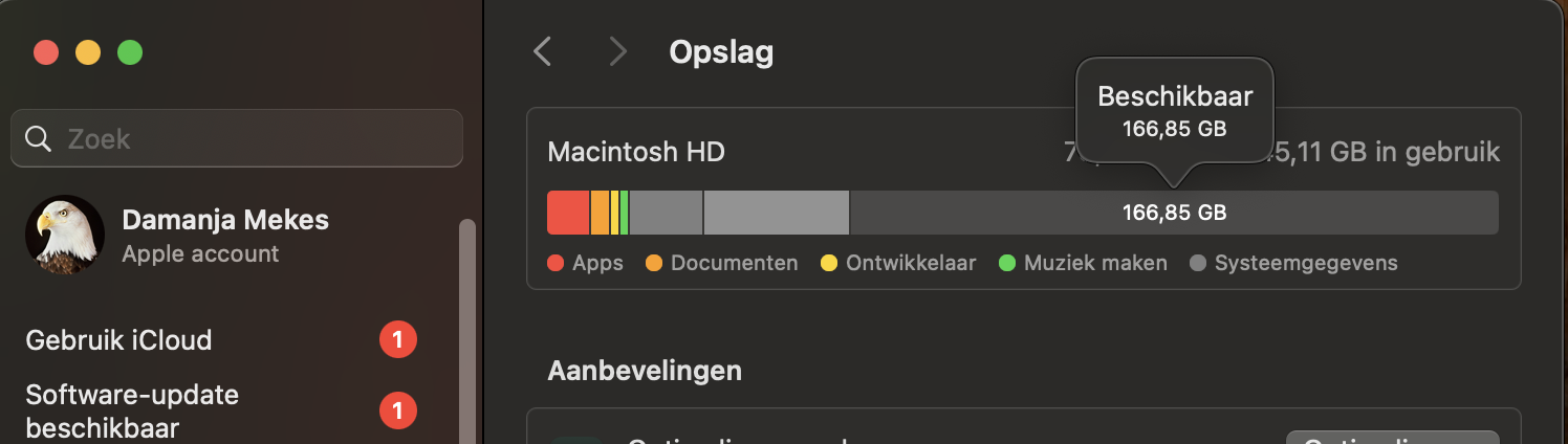 Wanneer je de opslagbalk ziet, wordt Systeemdata in donkergrijs weergegeven. Het staat daar naast iOS-bestanden, Apps en andere categorieën.