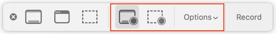To successfully screen record on Mac, customize your recording by choosing what portion of the screen you want to record and by going to Options.