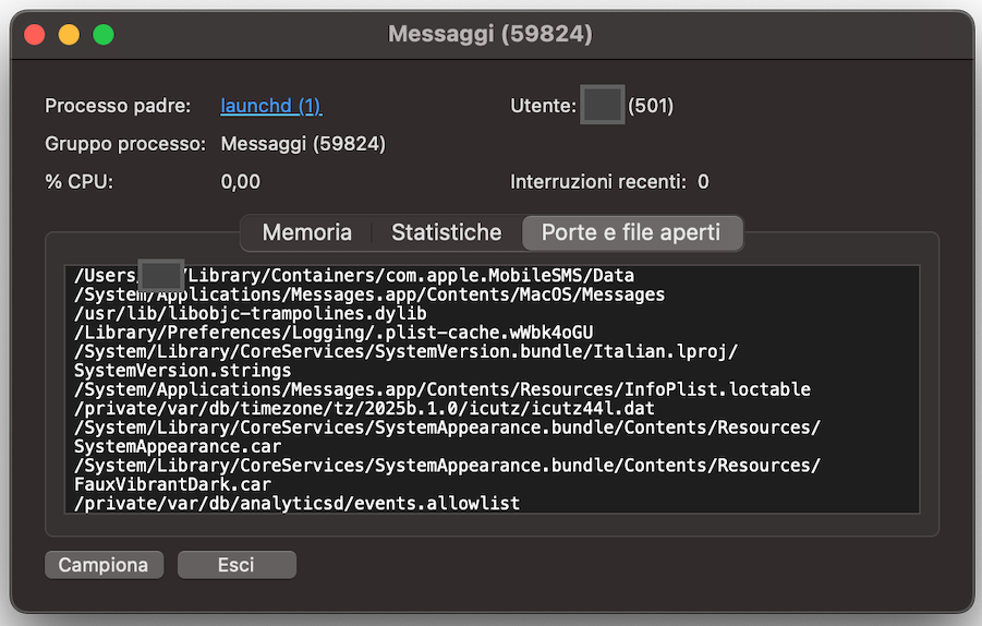 Ora clicca sulla scheda Porte e file aperti per visualizzare un report su tutti i file e processi in corso sul tuo computer Apple.