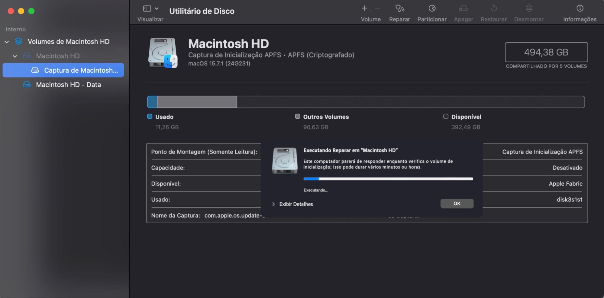 A execução do Reparar está em andamento, o que é confirmado pela barra de progresso. Verifique-a para ver quando a verificação terminará.