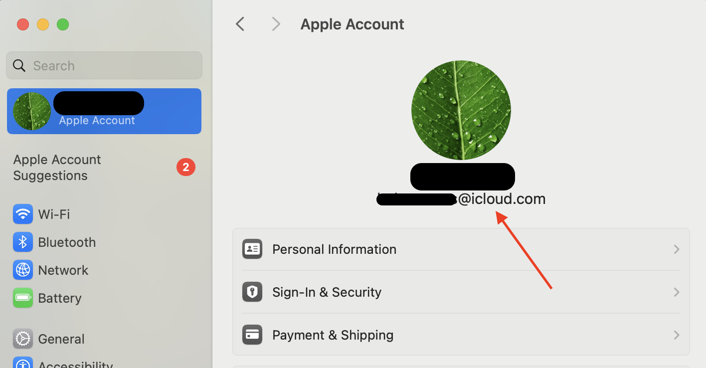 Open System Settings, then click your Apple ID at the top of the sidebar to view and manage your iCloud account details and connected devices.