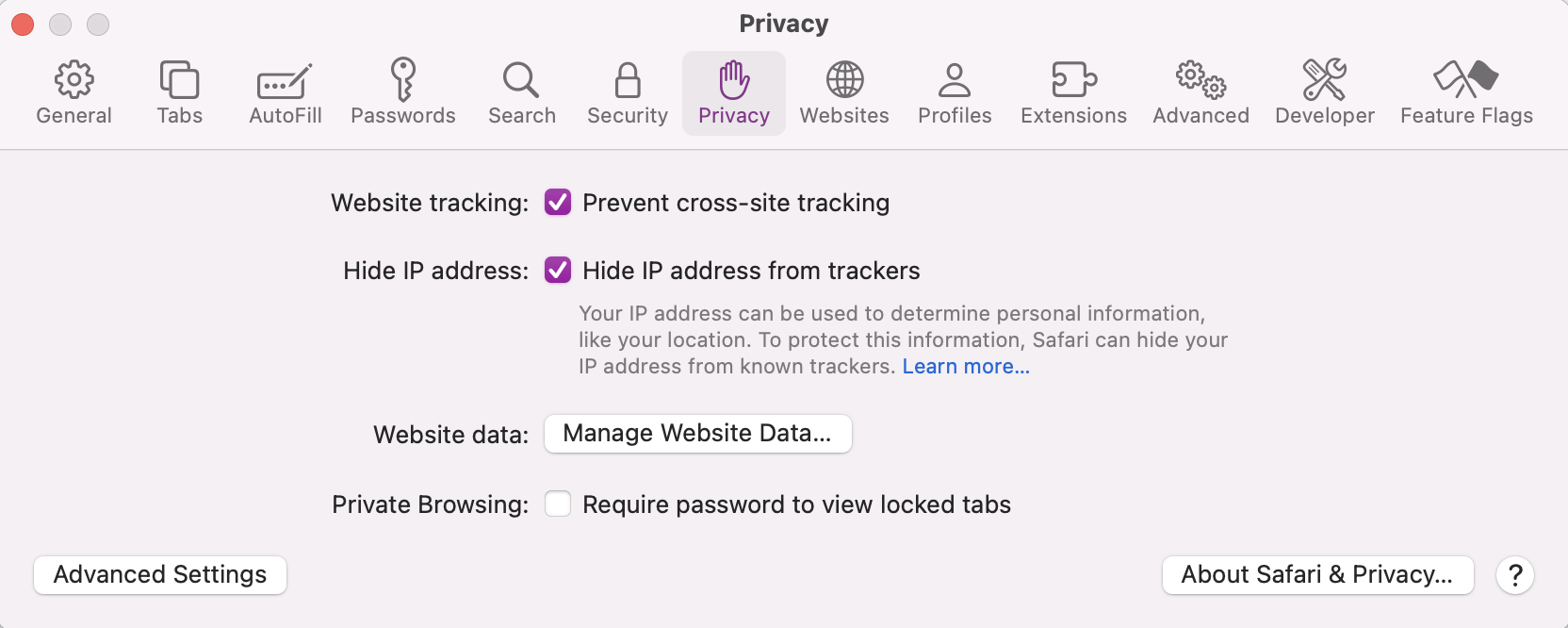 Once you’ve opened Safari Settings, go to Privacy and click on Manage Website Data. You’ll see a list of all the cache and saved data on your browser that you can clear–hopefully preventing tabs from closing unexpectedly.