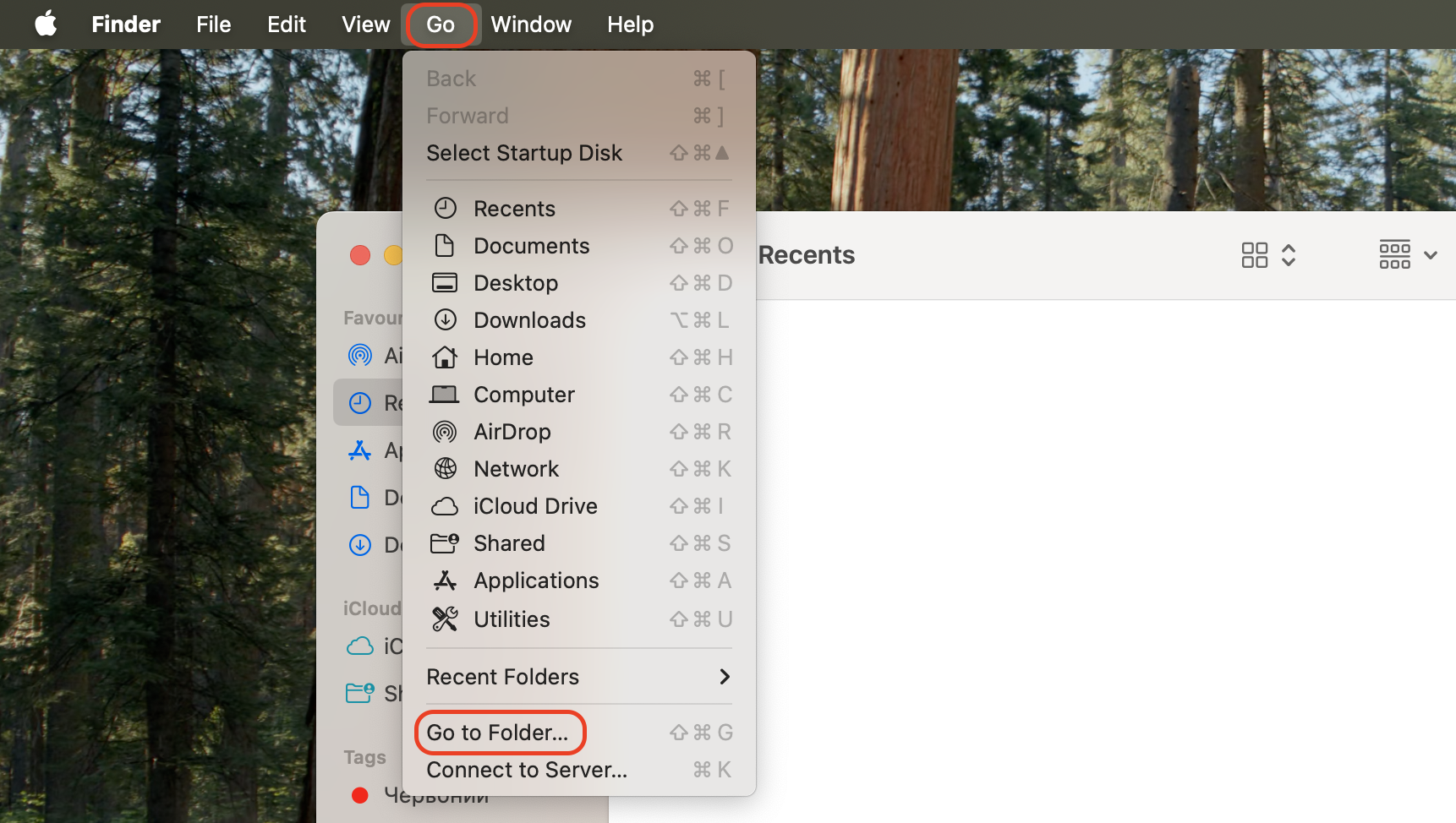 Open Finder, click Go in the menu bar, and select Go to Folder to access hidden system directories on your Mac.