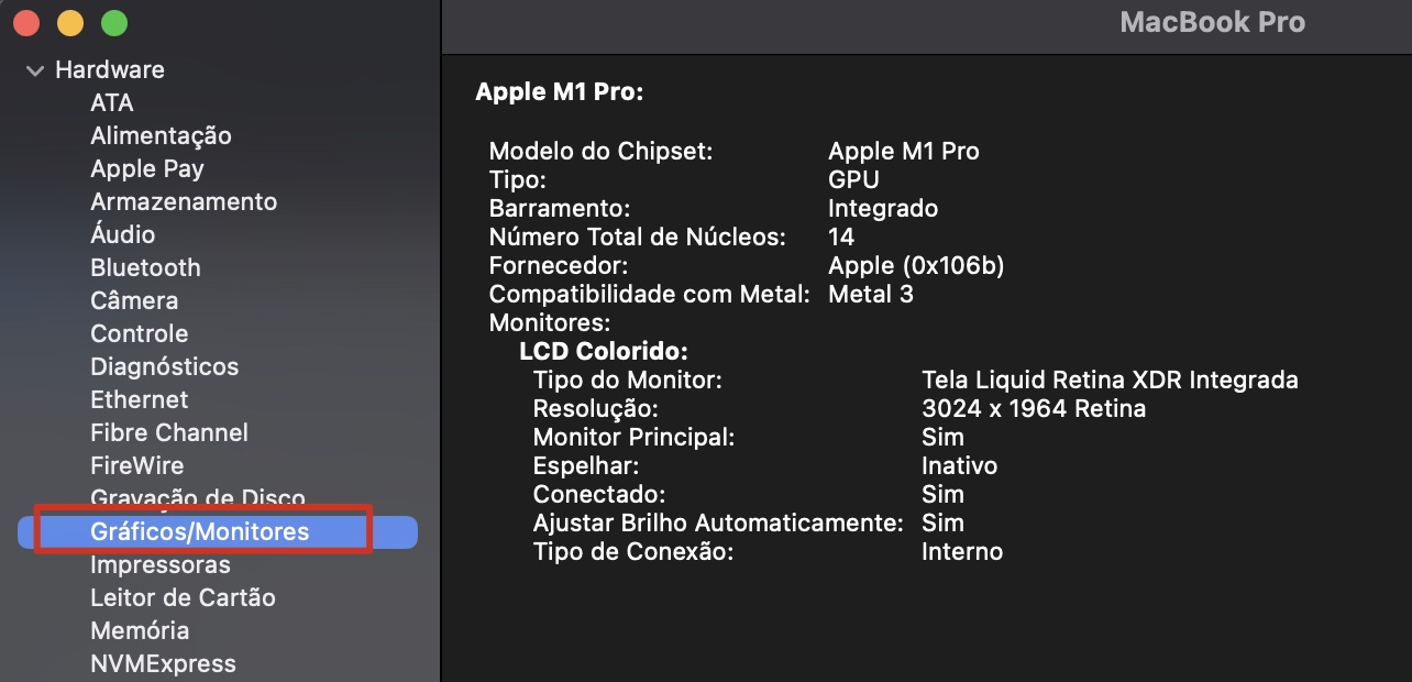 A janela Relatório do Sistema com a opção Gráficos/Monitores selecionada à esquerda mostra as informações detalhadas sobre o dispositivo no painel à direita.