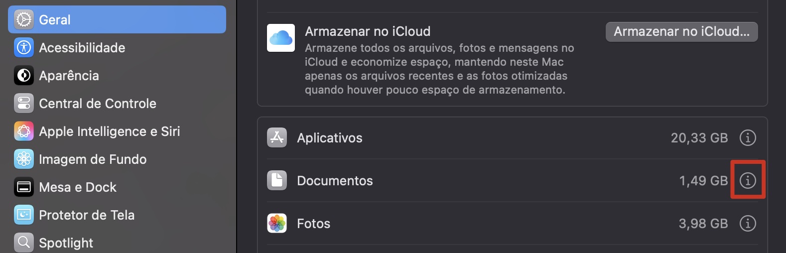 Clique no botão de informações ao lado de Documentos nas configurações de Armazenamento para visualizar os arquivos grandes.