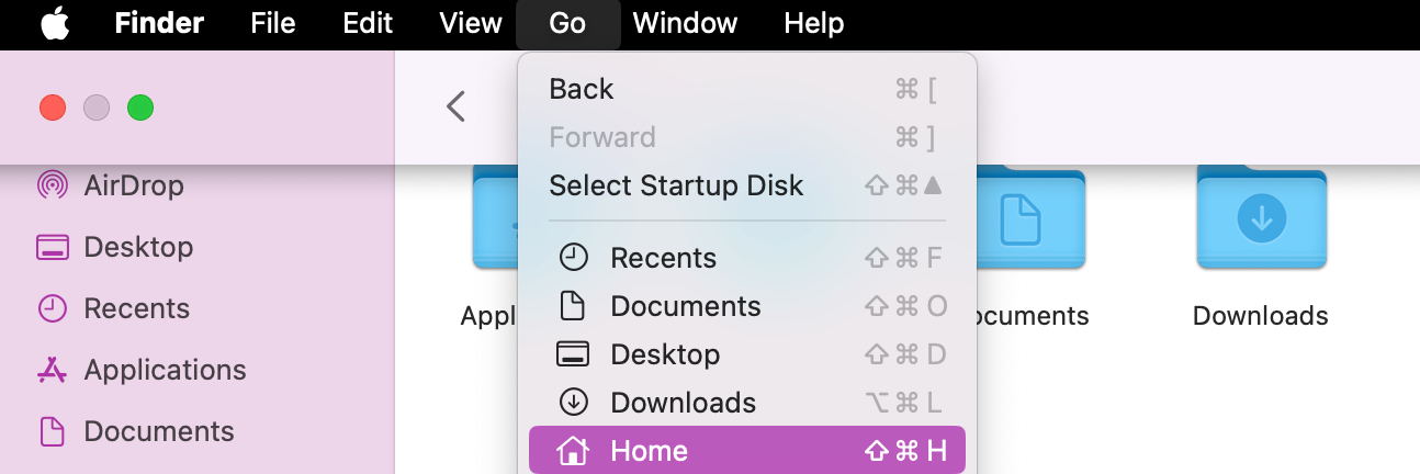 If you cannot see your Downloads tab in Finder, click on Go and scroll down to Home. You’ll then see a bunch of blue folders, and one should be labelled as Downloads with a downward-facing arrow icon. Click and drag the folder into your Dock.