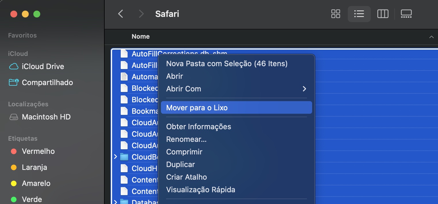 Localize os arquivos que começam com com.apple.Safari. Selecione-os e escolha Mover para o Lixo para remover os arquivos de preferência do Safari do seu Mac. Não esqueça de esvaziar o Lixo depois para eliminar todos os vestígios do seu computador, melhorando o armazenamento e a otimização do disco.