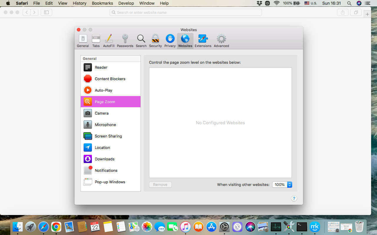 In the Preferences window, choose the Websites tab, then click Page zoom in the left sidebar, choose the preferred zoom percentage, and enable the When Visiting Other Website option.