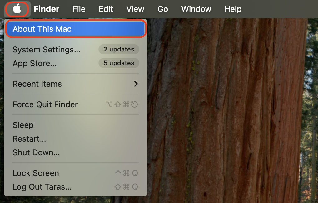 Open the Apple menu, select About This Mac, and review your system overview to check available local storage on your Mac.