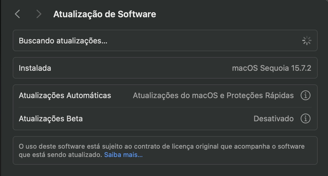 Depois de clicar na opção Atualização de Software, permita que seu dispositivo faça a verificação por atualizações pendentes. Você também pode ativar ou desativar as Atualizações Automáticas para que seu dispositivo gerencie as atualizações automaticamente para você.