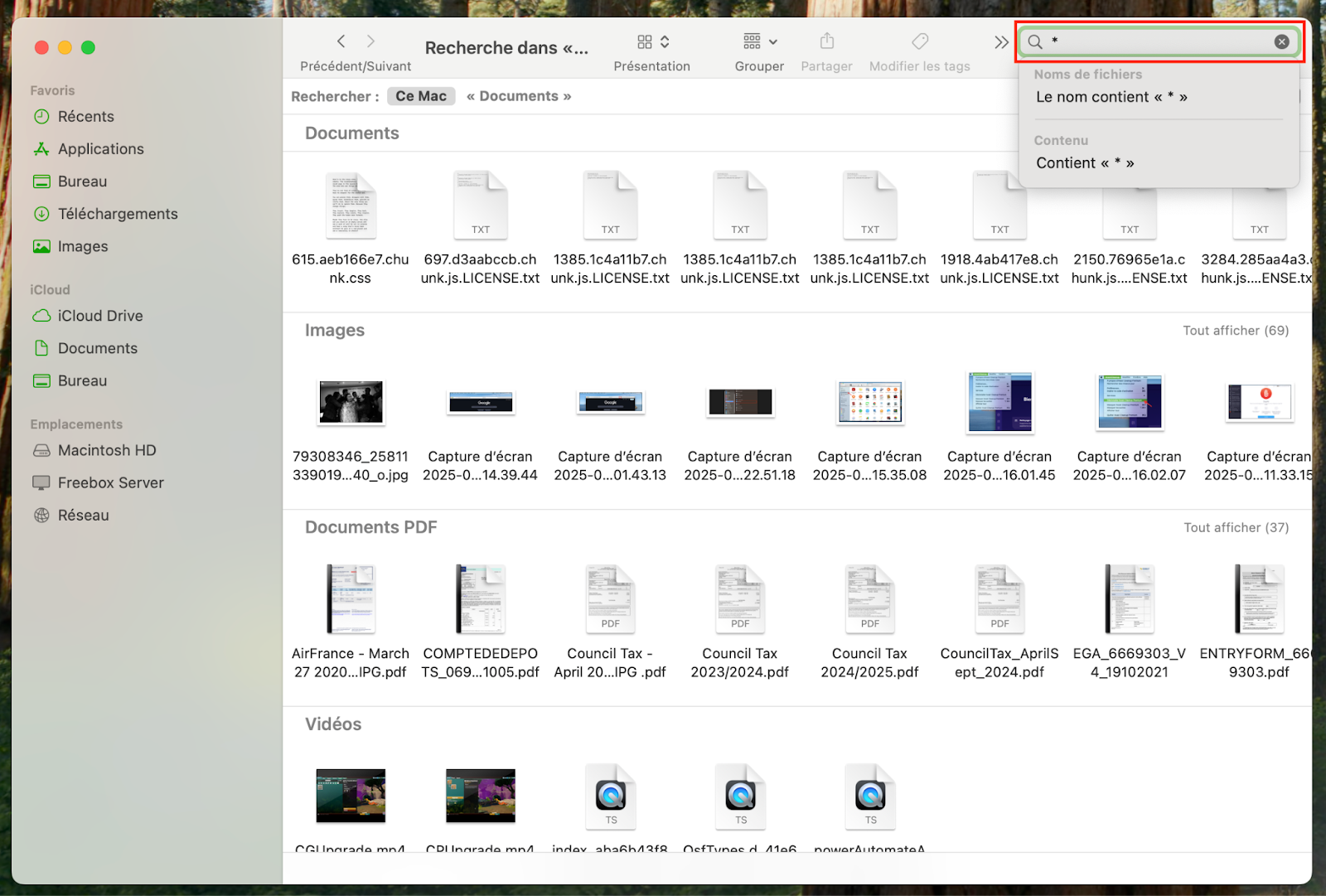 Pour supprimer manuellement les doublons sur Finder, saisissez l'astérisque * dans la barre de recherche puis consultez les résultats. Cliquez sur les éléments que vous souhaitez et déplacez-les vers la Corbeille.