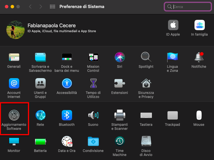 Per poter aggiornare il Mac alla versione più recente, è necessario verificare la presenza di aggiornamenti macOS in corso. Per farlo, aprite le Preferenze di sistema. Da qui si vedrà la scheda Aggiornamento software.