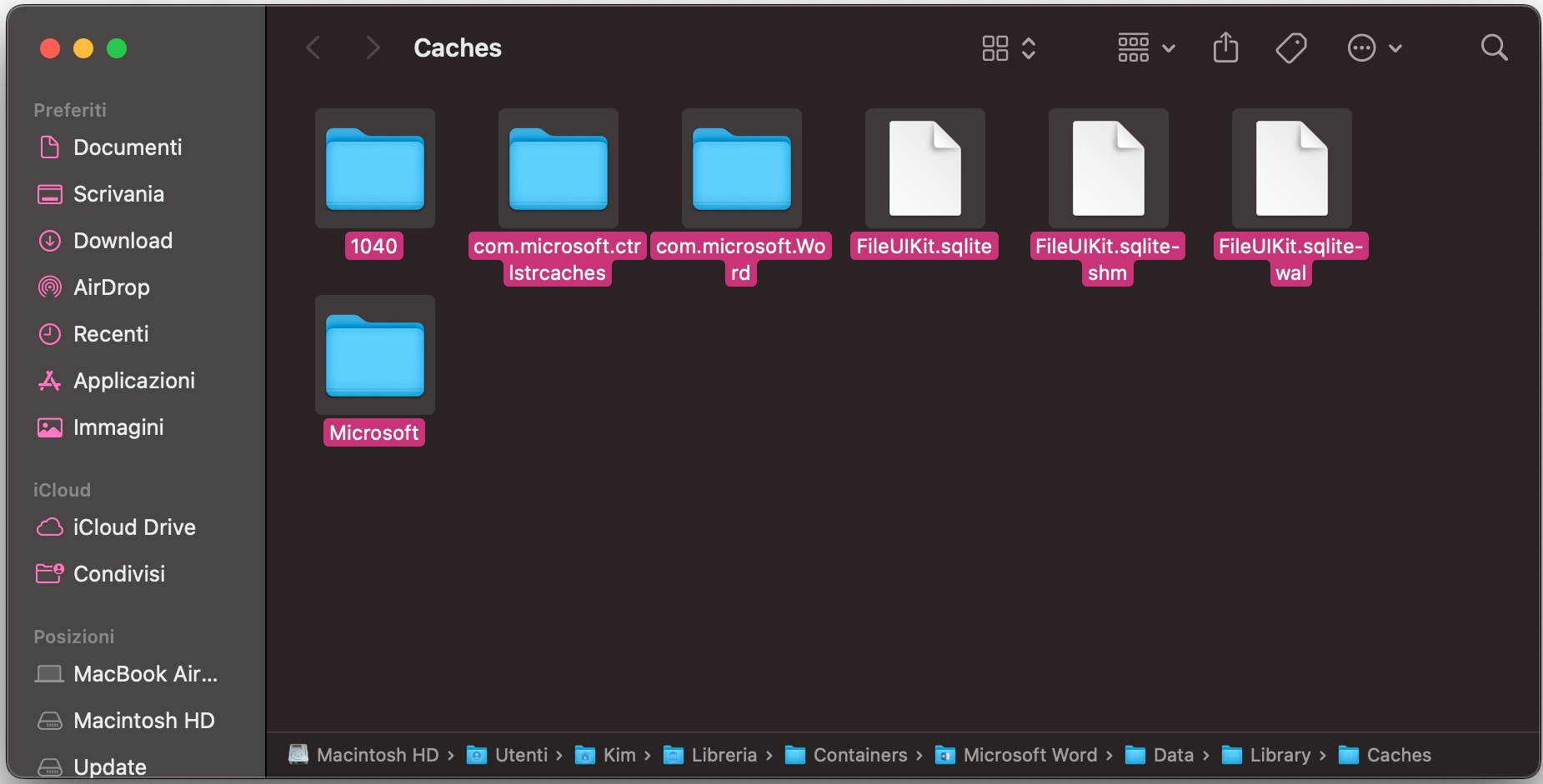 Rimuovi tutti i file di cache nella cartella della cache di Word per eliminare i dati temporanei danneggiati che potrebbero causare crash o problemi di prestazioni sul tuo Mac.