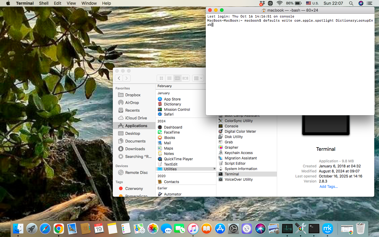 In Terminal, enter defaults write com.apple.spotlight DictionaryLookupEnabled NO, then restart your Mac normally.