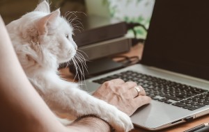 How to Enable Kernel Extensions on Mac